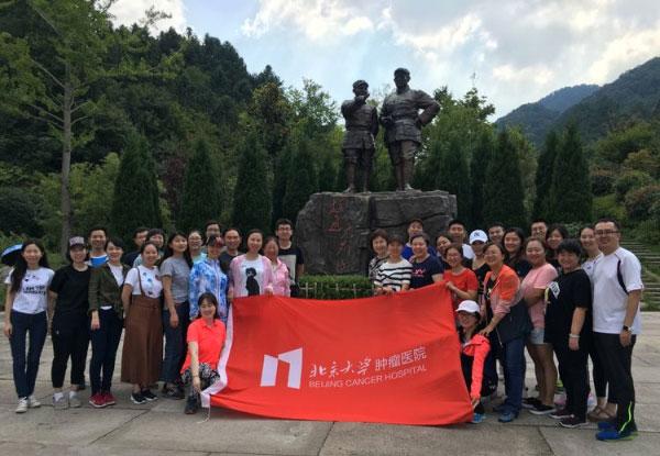 解救金刚鹦鹉